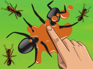 Smash the Ant - Online Puzzle Game