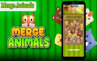 Merge Animals: Fun Casual Merge Puzzle Game for All Ages