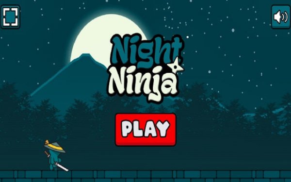 Night Ninja: Stealth Adventure
