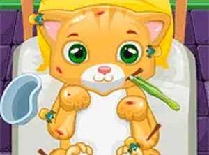 Feline Health Center Kids Game