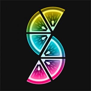 Shape Placement Logic Puzzle