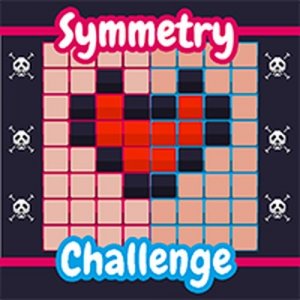 Symmetry Match Puzzle